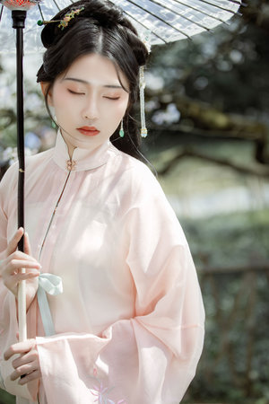 龙飞凤舞开过什么动物